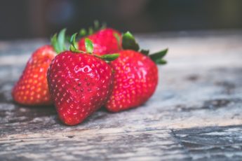 Er jordbær farlig for hunder?